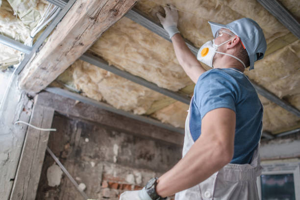 Best Specialized Insulation Services in Woodward, OK